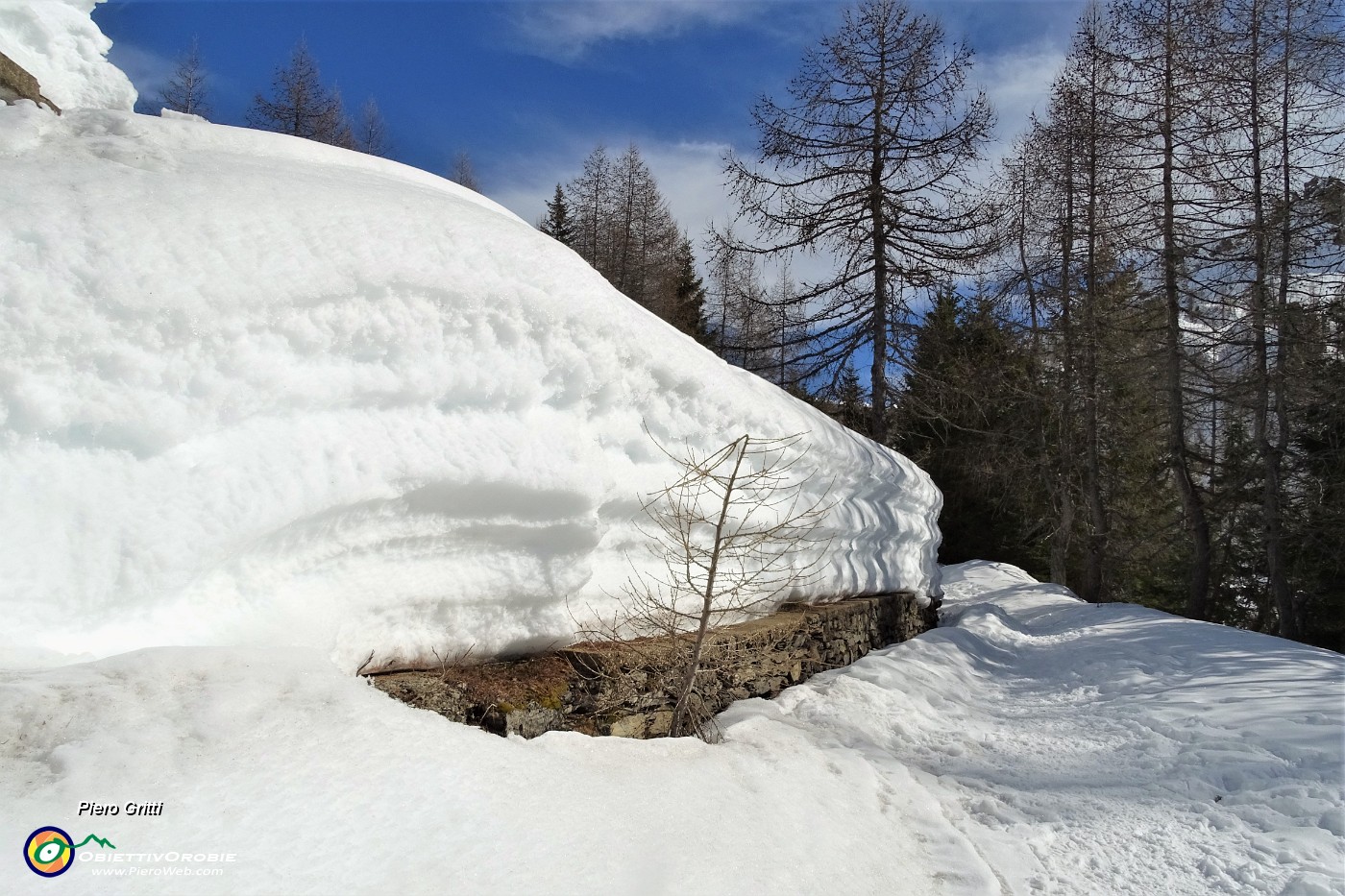 45 La neve aumenta ....JPG